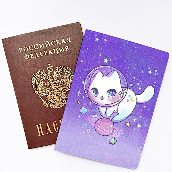 прописка в Бабаево
